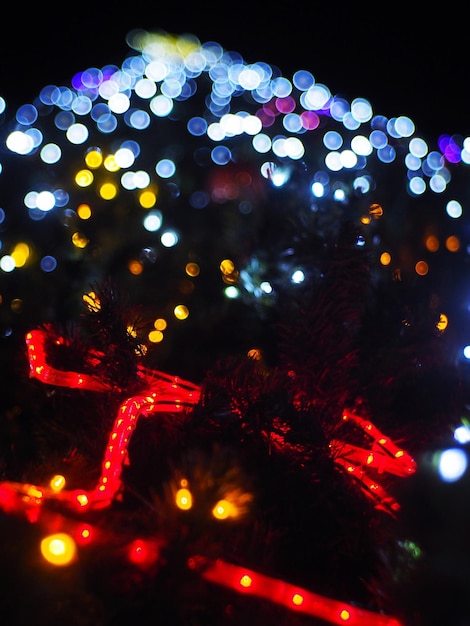 Vista de ángulo bajo del árbol de Navidad iluminado por la noche