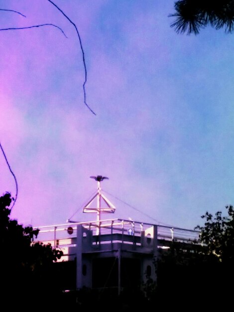 Foto vista en bajo ángulo de los árboles contra el cielo al anochecer