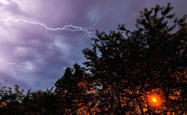 Foto vista en bajo ángulo de los árboles contra el cielo dramático