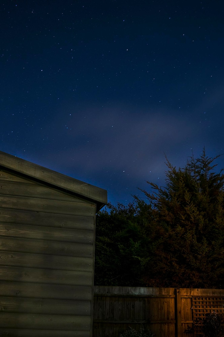 Foto vista de ángulo bajo de los árboles contra el cielo por la noche