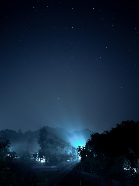 Vista en bajo ángulo de los árboles contra el cielo por la noche