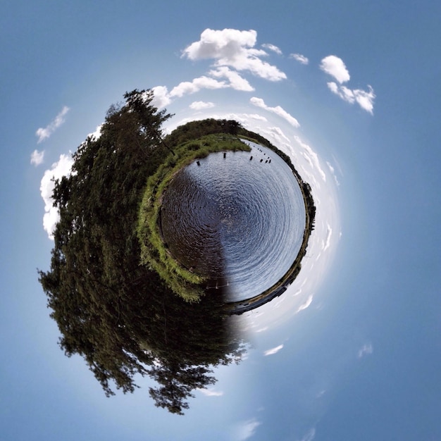 Foto vista en bajo ángulo de los árboles contra el cielo nublado