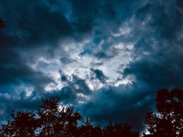 Foto vista en bajo ángulo de los árboles contra el cielo nublado