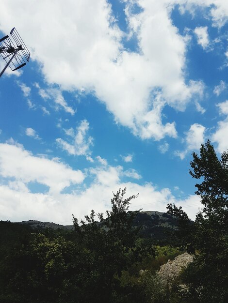 Foto vista en bajo ángulo de los árboles contra el cielo