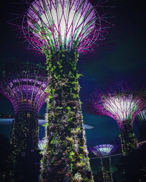 Foto vista de ángulo bajo de árboles iluminados contra el cielo por la noche