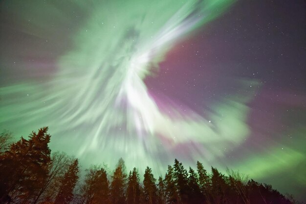 Vista en bajo ángulo de la aurora boreal