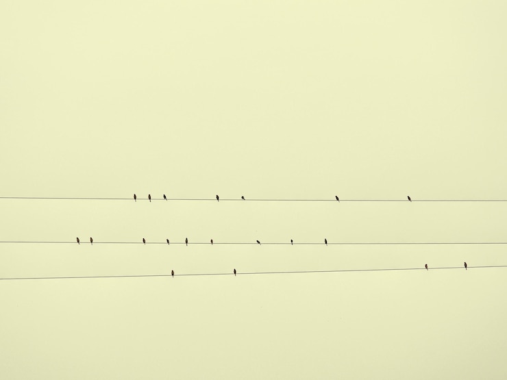 Foto vista de bajo ángulo de aves posadas en un cable contra el cielo