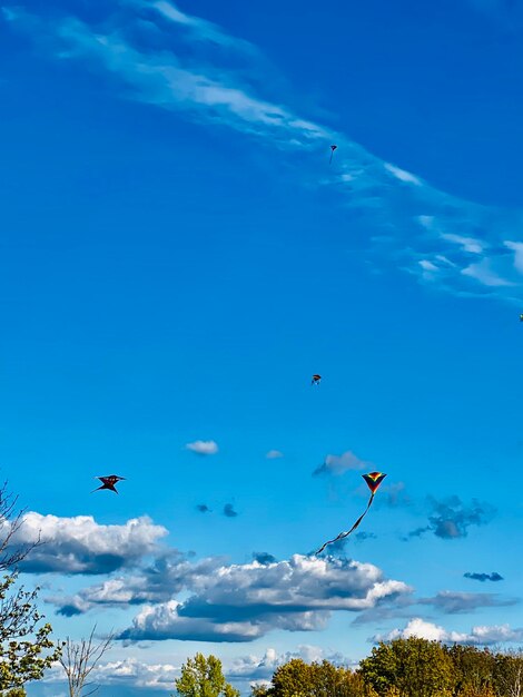 Foto vista de ángulo bajo de aves volando en el cielo