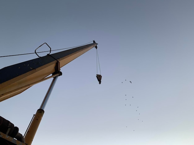 Vista de ángulo bajo de aves volando contra un cielo despejado