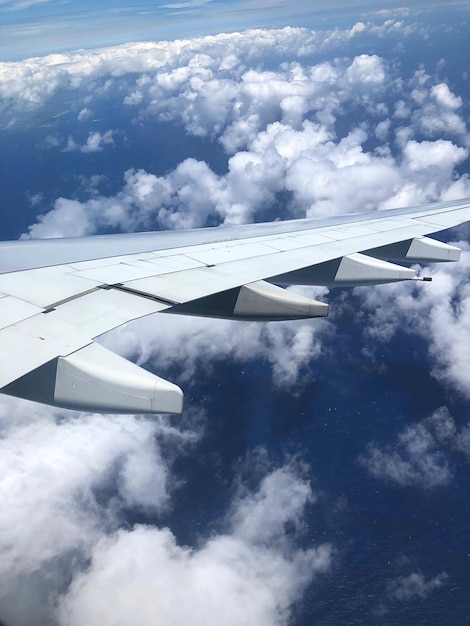 Vista de ángulo bajo de un avión volando en el cielo