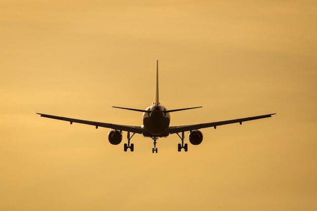 Vista de ángulo bajo de un avión volando contra el cielo durante la puesta del sol