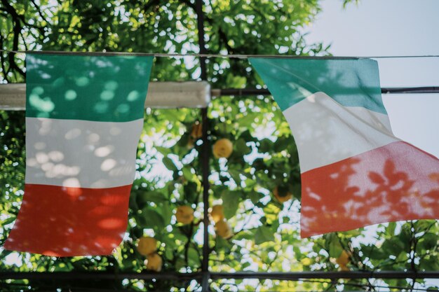 Foto vista en bajo ángulo de las banderas italianas colgando en un árbol