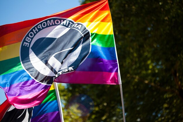 Foto vista en bajo ángulo de las banderas del orgullo