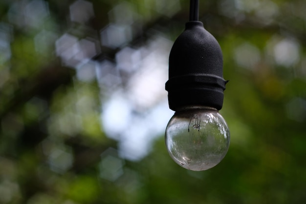 Foto vista de ángulo bajo de una bombilla colgada en un árbol