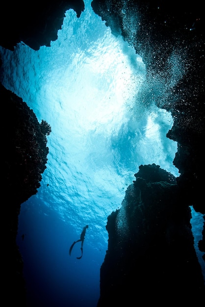 Foto vista desde un ángulo bajo del buzo en el agua