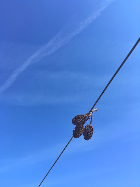 Vista en bajo ángulo de los cables contra el cielo azul