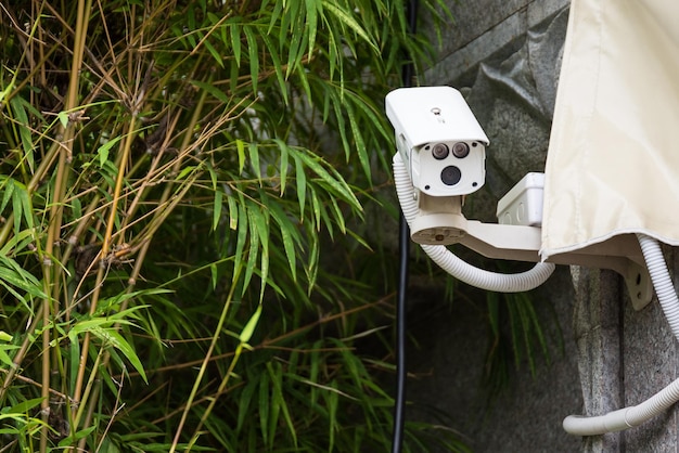 Vista de ángulo bajo de la cámara de seguridad contra las plantas