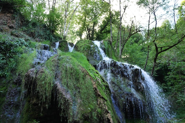 Foto vista de ángulo bajo de una cascada en el bosque