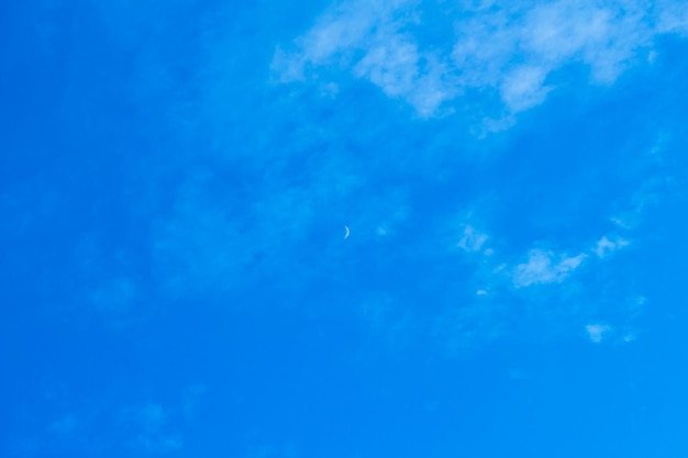 Foto vista en bajo ángulo de un cielo azul