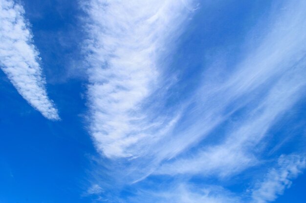 Vista de ángulo bajo del cielo azul