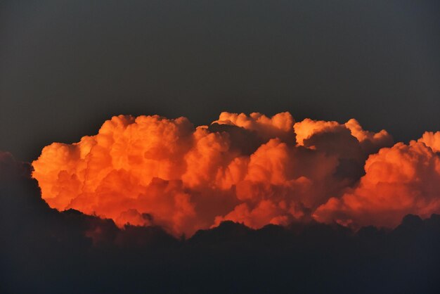 Foto vista de ángulo bajo del cielo naranja