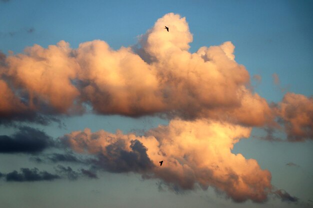 Foto vista de ángulo bajo del cielo naranja