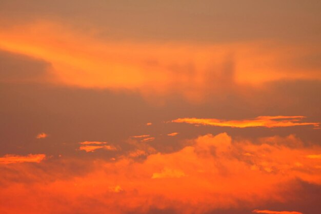 Vista de ángulo bajo del cielo naranja