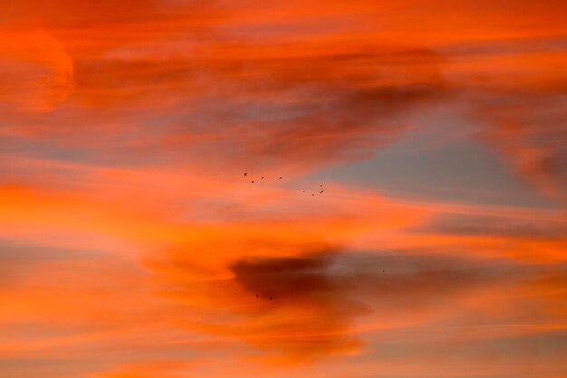 Vista de ángulo bajo del cielo naranja