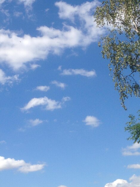 Foto vista de ángulo bajo del cielo nublado