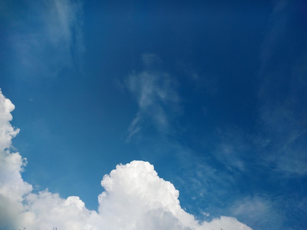 Vista de ángulo bajo del cielo nublado