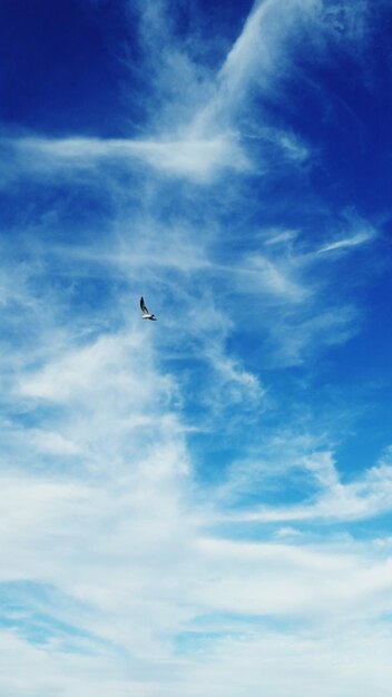 Foto vista de ángulo bajo del cielo nublado