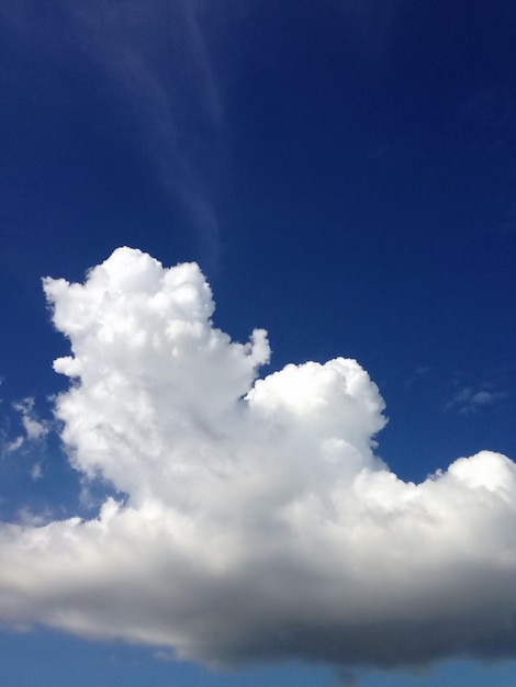 Foto vista de ángulo bajo del cielo nublado