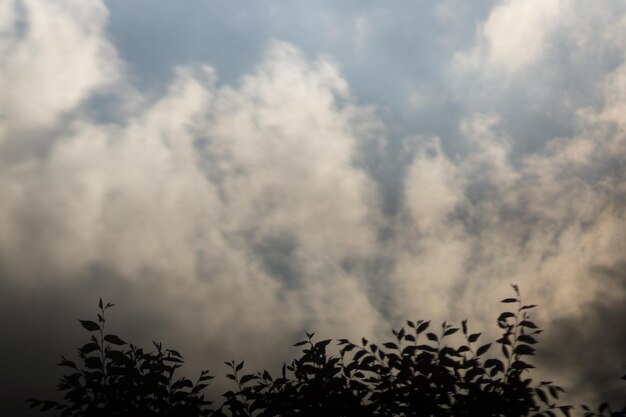 Foto vista de ángulo bajo de un cielo nublado