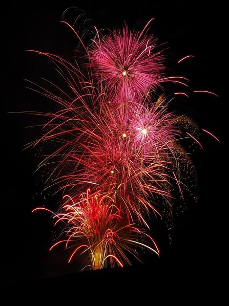 Vista de bajo ángulo de coloridos fuegos artificiales explotando en el cielo por la noche