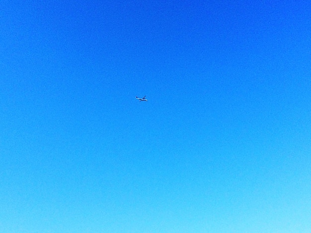 Vista de ángulo bajo de una cometa volando contra un cielo azul claro