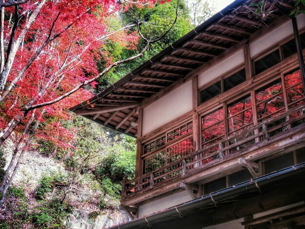 Foto vista de bajo ángulo del edificio por árboles de otoño