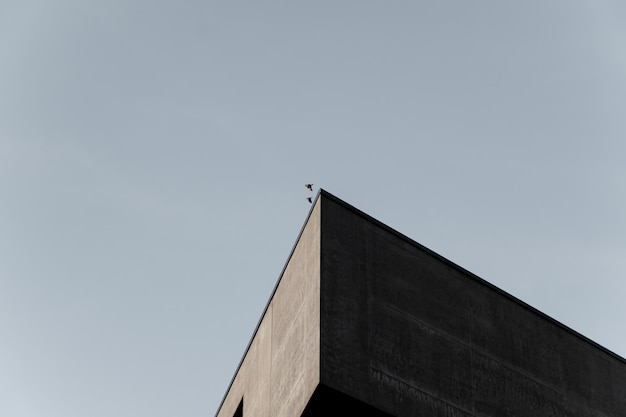 Foto vista de ángulo bajo del edificio contra el cielo despejado en un día soleado