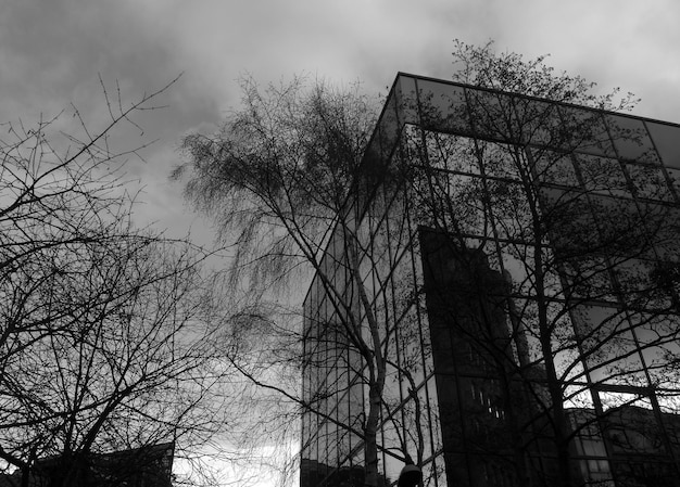Foto vista de ángulo bajo de edificios modernos y árboles desnudos contra un cielo nublado