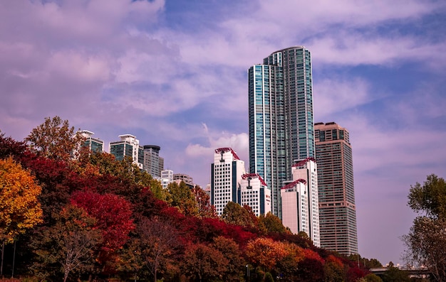 Vista de ángulo bajo de edificios modernos contra el cielo