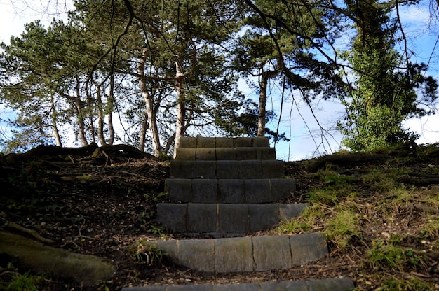 Foto vista en bajo ángulo de las escaleras en la colina