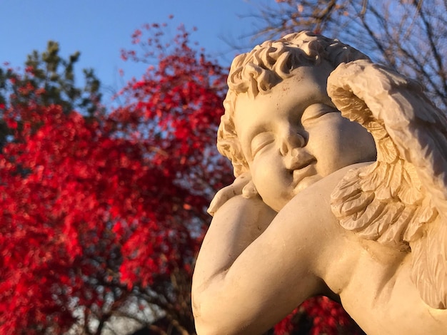 Vista de ángulo bajo de la escultura de ángel contra el árbol rojo en el parque