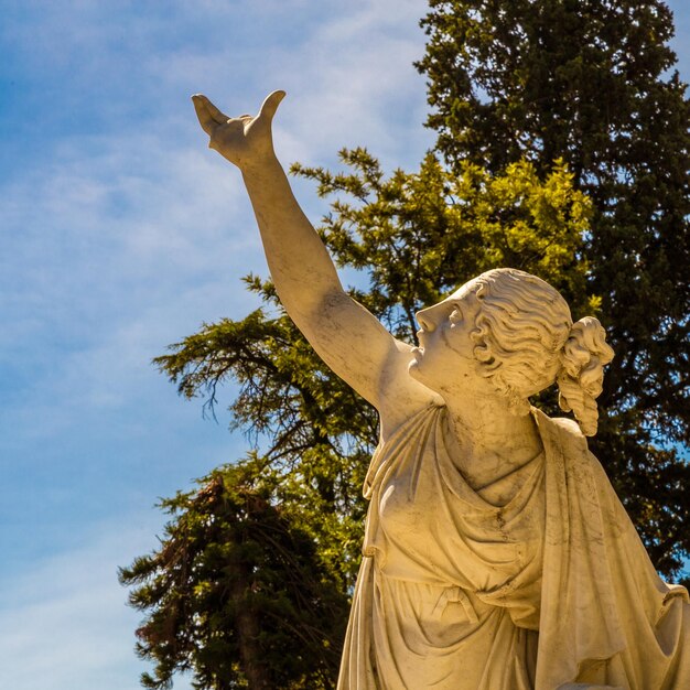 Vista de ángulo bajo de la estatua contra los árboles contra el cielo