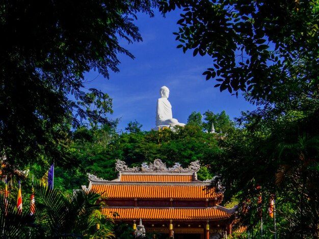 Foto vista en bajo ángulo de la estatua contra los árboles