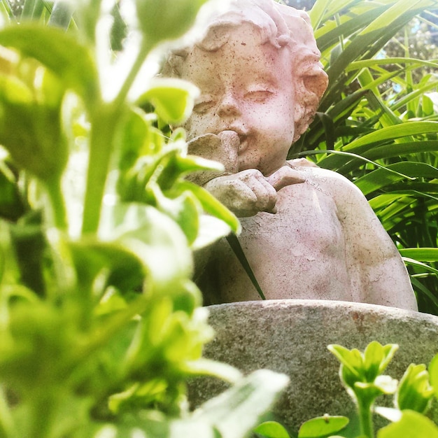 Foto vista de ángulo bajo de la estatua en medio de las plantas