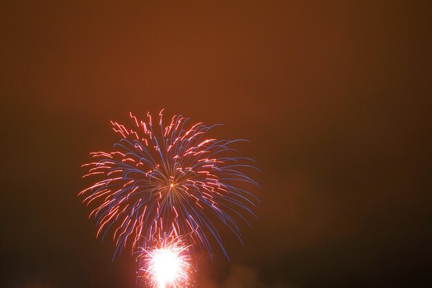 Foto vista de ángulo bajo de la exhibición de fuegos artificiales contra el cielo por la noche