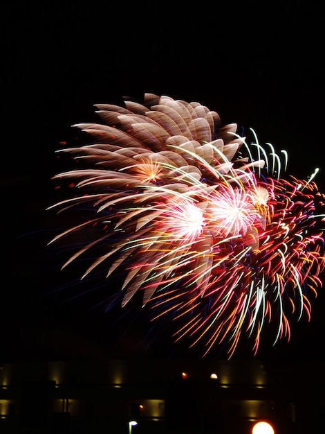Vista de bajo ángulo de la exhibición de fuegos artificiales contra el cielo por la noche