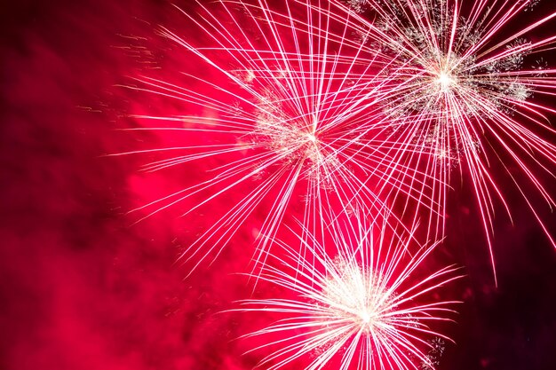 Foto vista de bajo ángulo de la exhibición de fuegos artificiales por la noche