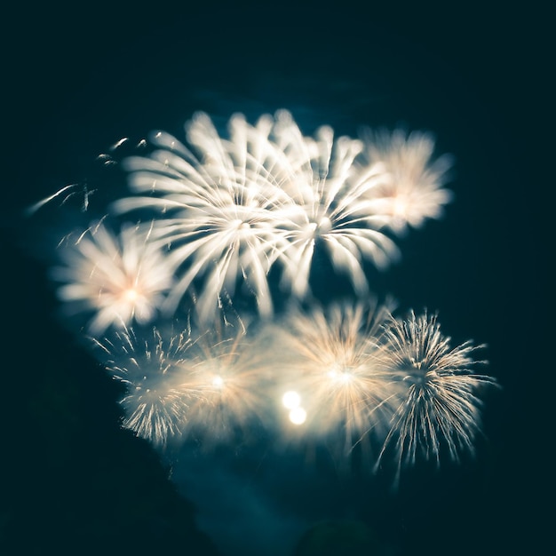 Vista de bajo ángulo de la exhibición de fuegos artificiales por la noche