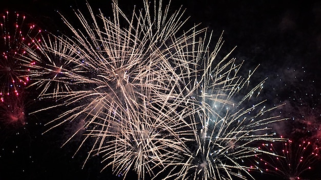 Vista de bajo ángulo de la exhibición de fuegos artificiales por la noche