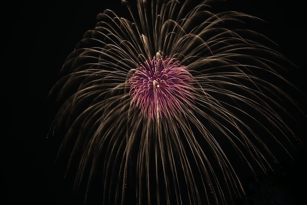 Foto vista de bajo ángulo de la exhibición de fuegos artificiales por la noche